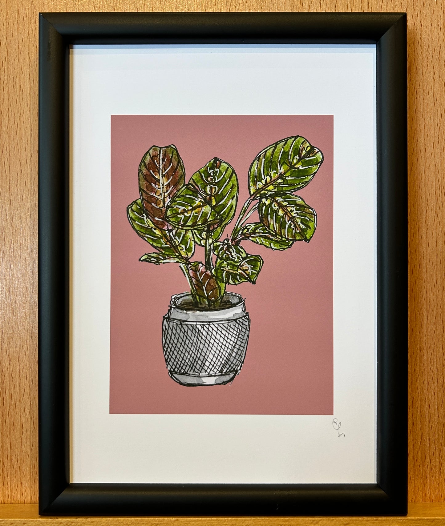 A5 print of a herringbone plant on a dusky pink background