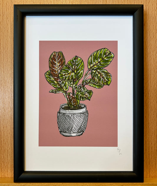 A5 print of a herringbone plant on a dusky pink background