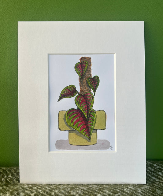 An A6 (postcard sized) watercolour and ink pen illustration of a fabulous climbing plant in a large green pot.