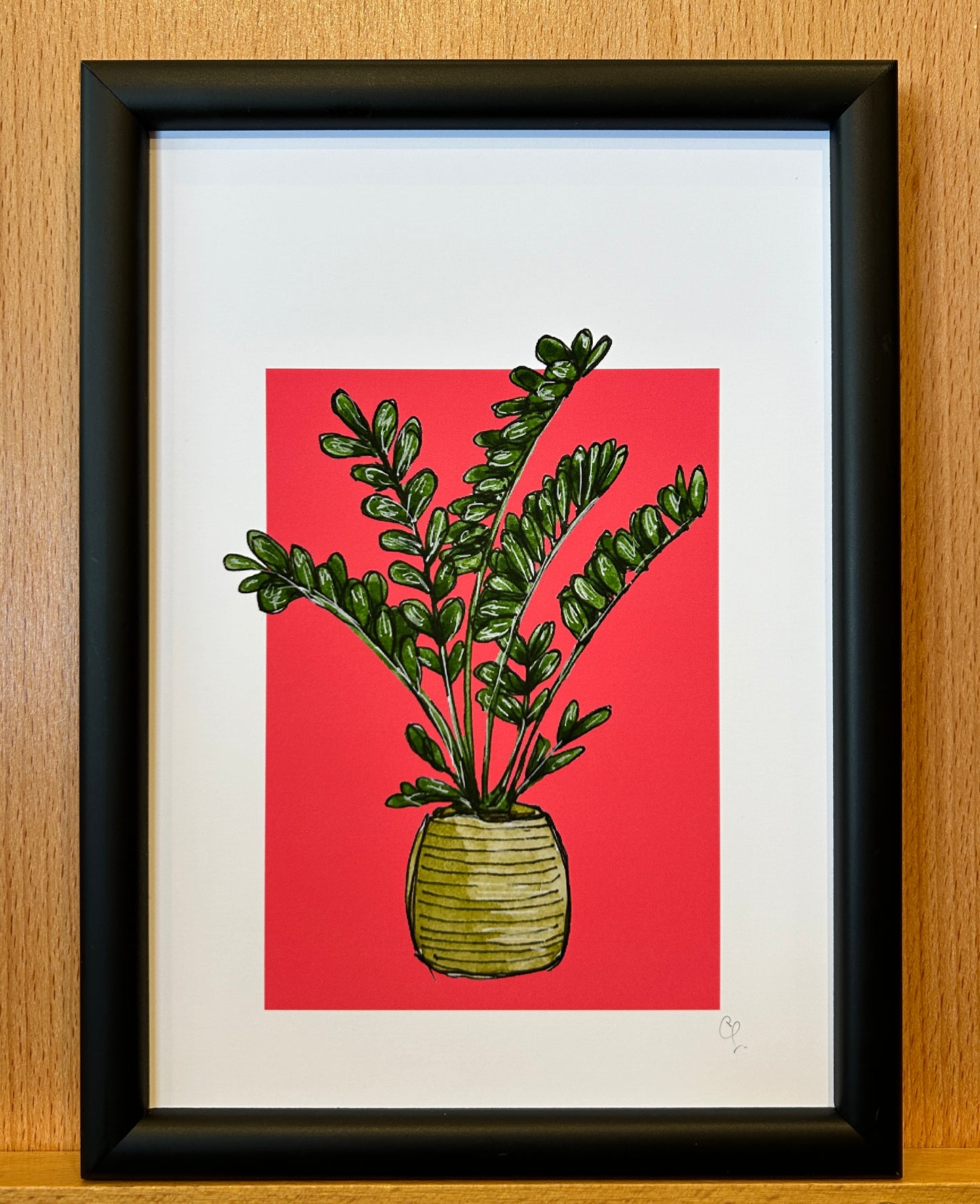 A5 print of a ZZ plant, or Zamioculcas zamifolia, on a bright pink-red background