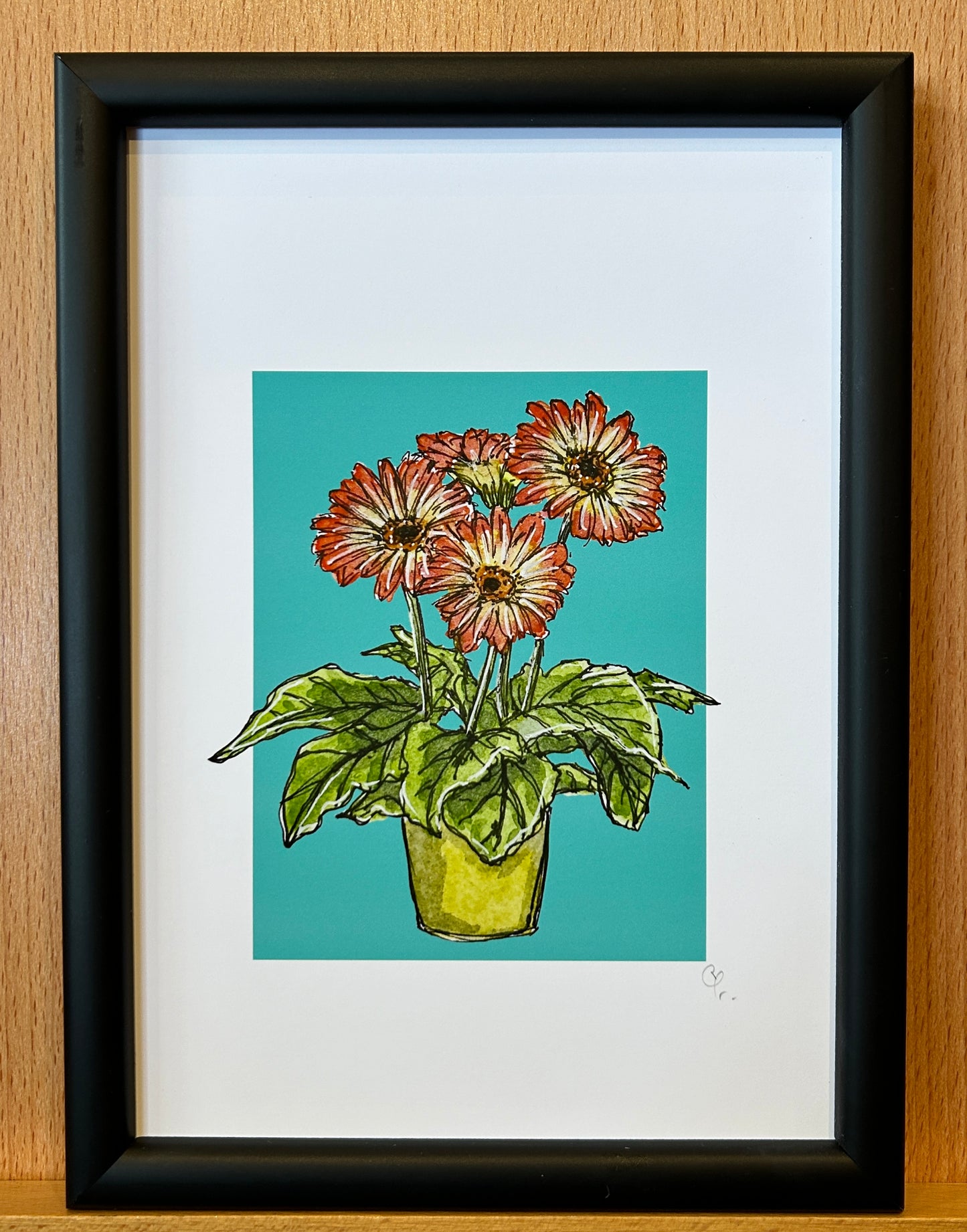 A5 print of a gerbera plant with orange flowers, on a turquoise blue background