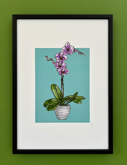 A4 print of an orchid with pink flowers, on a dusky turquoise background