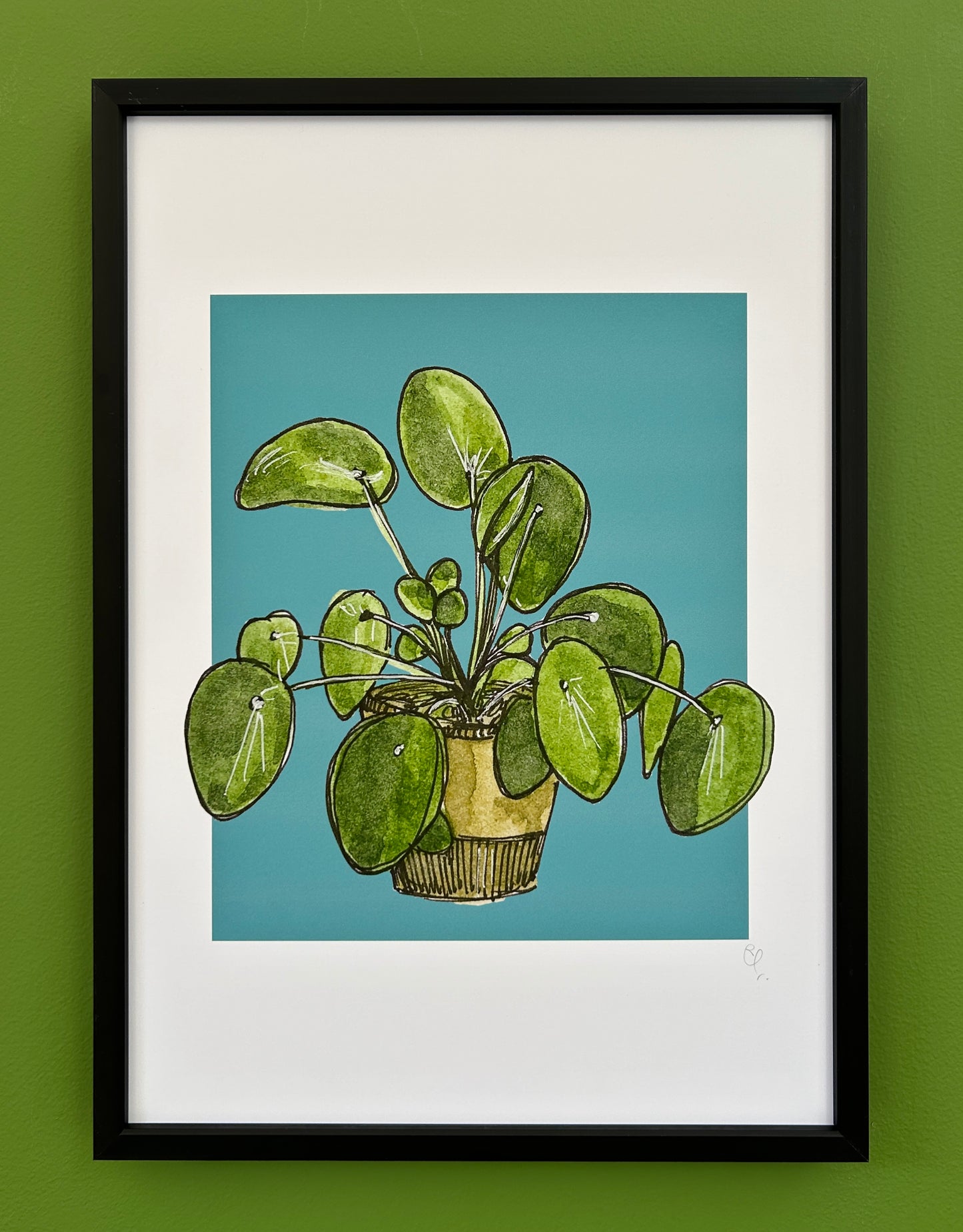 A4 print of a Chinese money plant, or pilea, on a dusky turquoise background