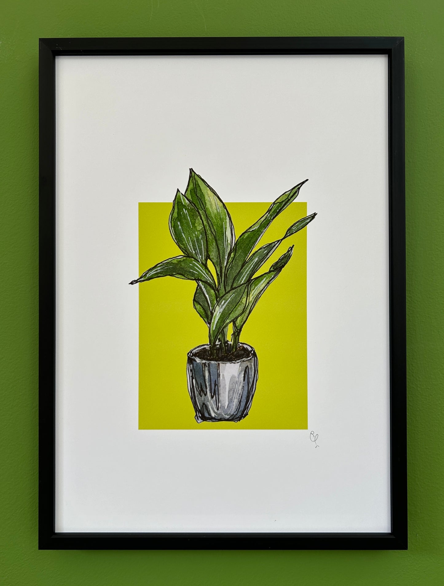 A4 print of an Aspidistra on a lime green background