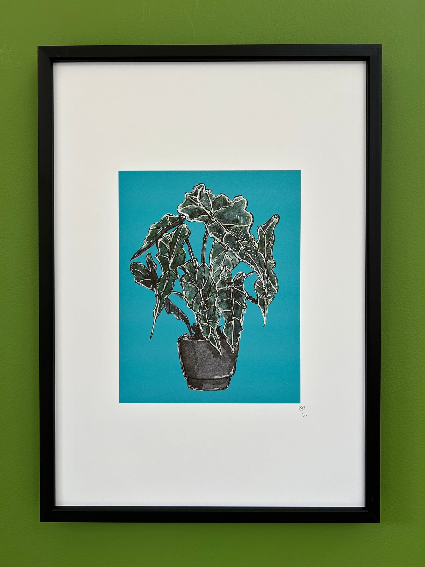 A4 print of an Elephants Ear or Kris plant on a turquoise blue background