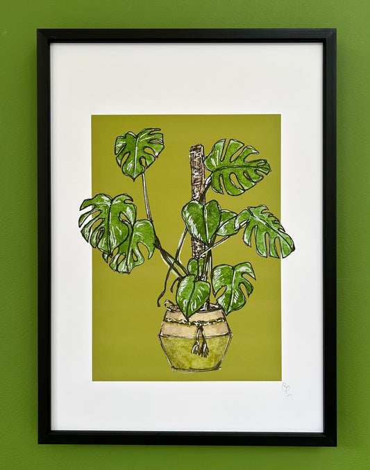 A4 print of a Monstera or Swiss Cheese plant on a bold green background