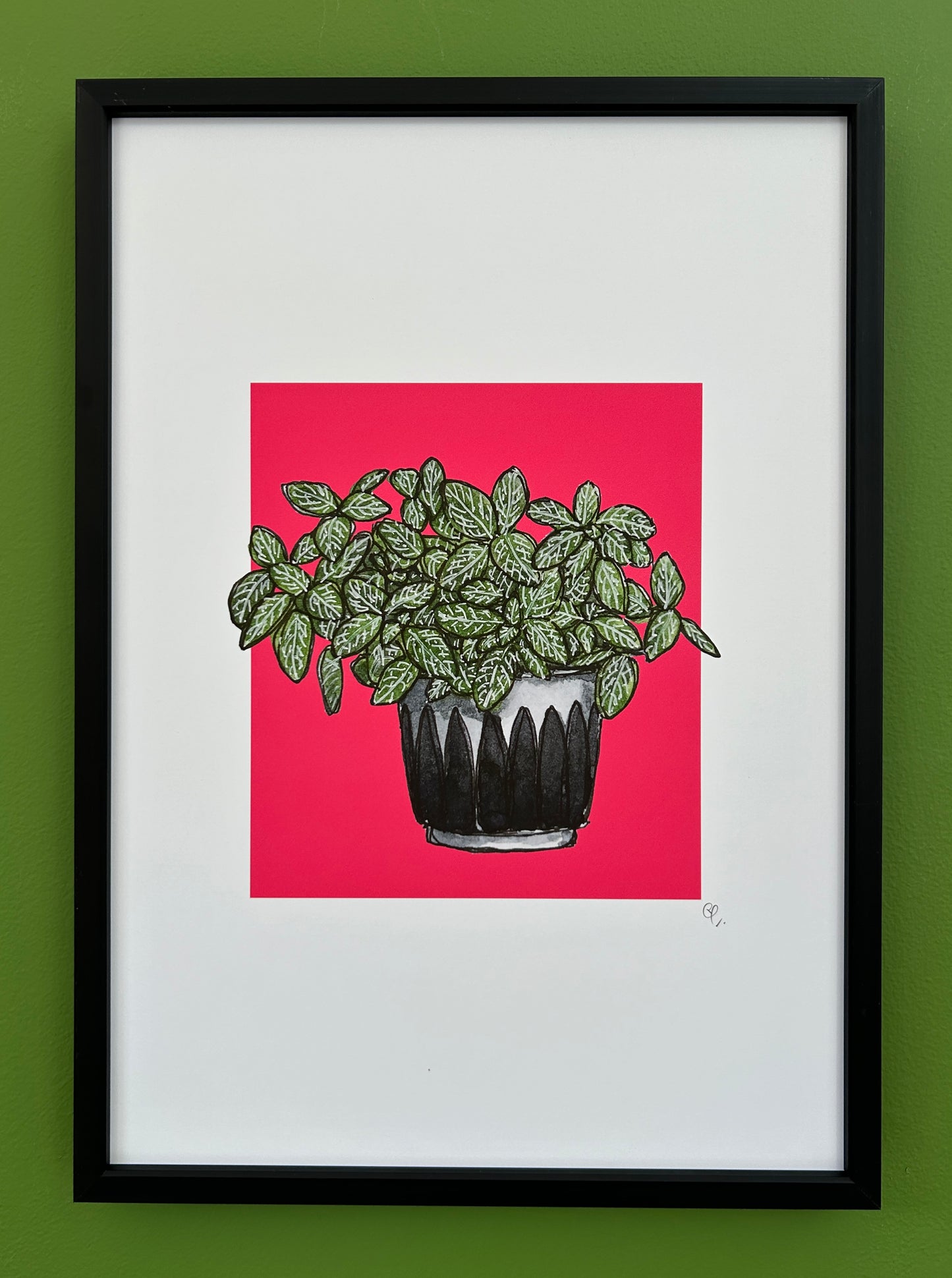 A4 print of a nerve plant on a vibrant pink background