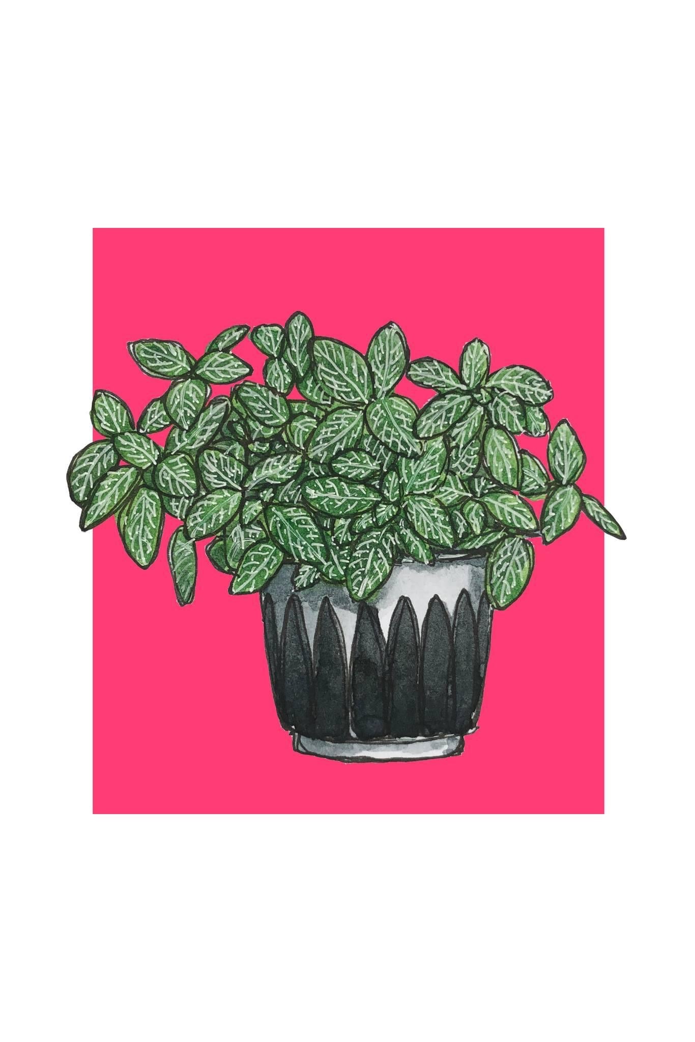 A4 print of a nerve plant on a vibrant pink background