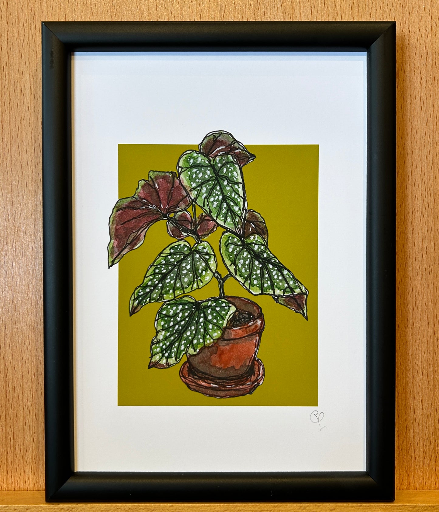 A5 print of a begonia plant on an olive green background 