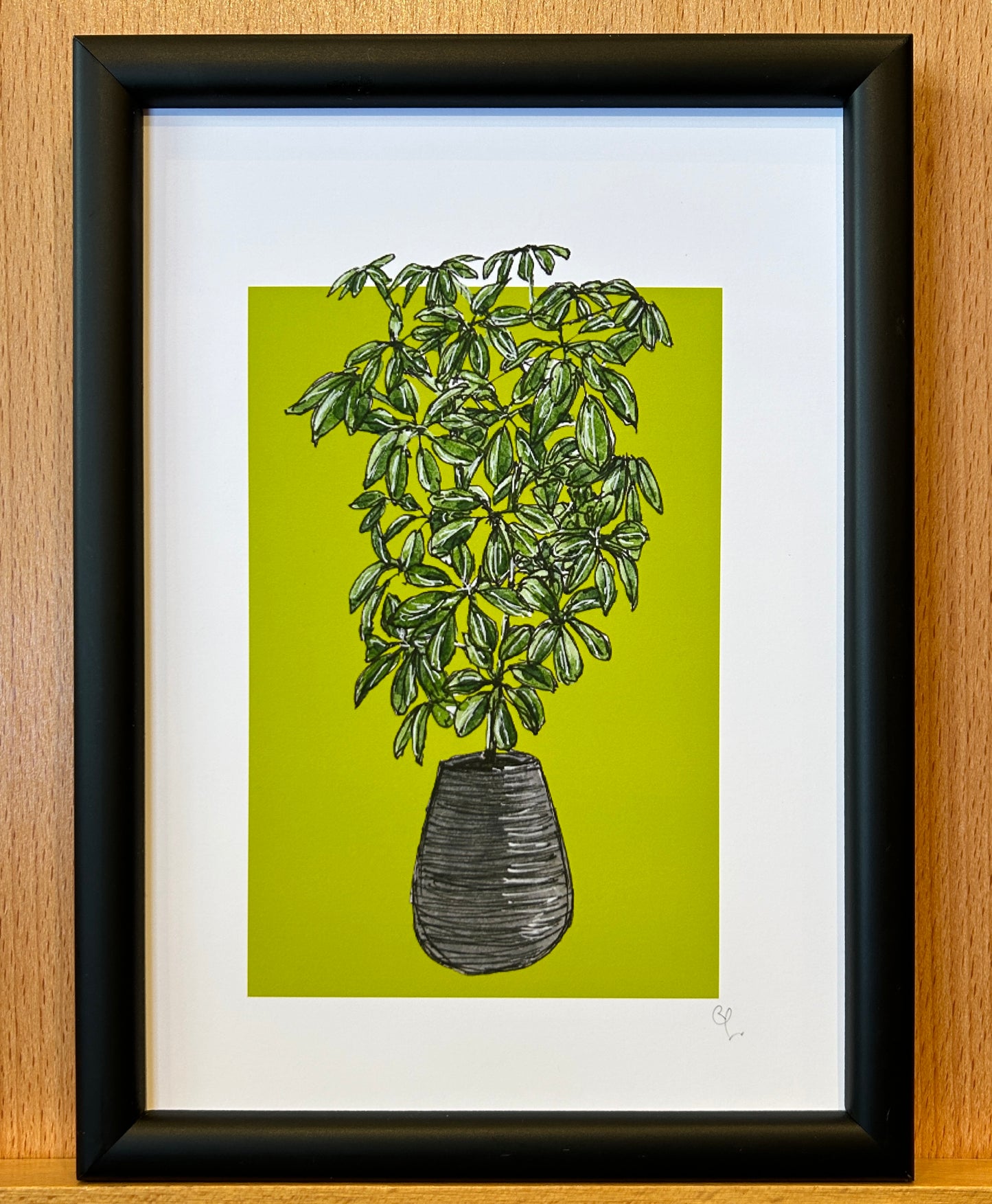 A5 print of an umbrella plant on a lime green background 