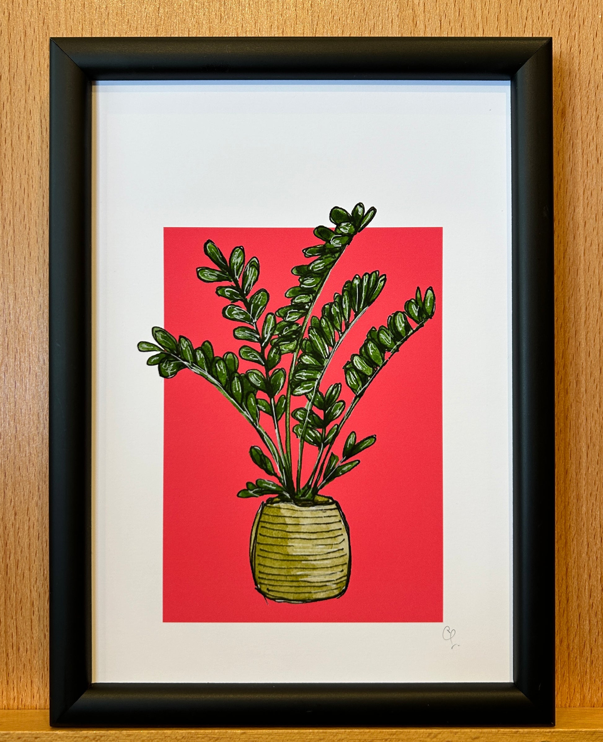 A5 print of a ZZ plant, or Zamioculcas zamifolia,  on a bright pink-red background 