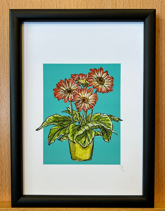 A5 print of a gerbera plant with orange flowers, on a turquoise blue background 