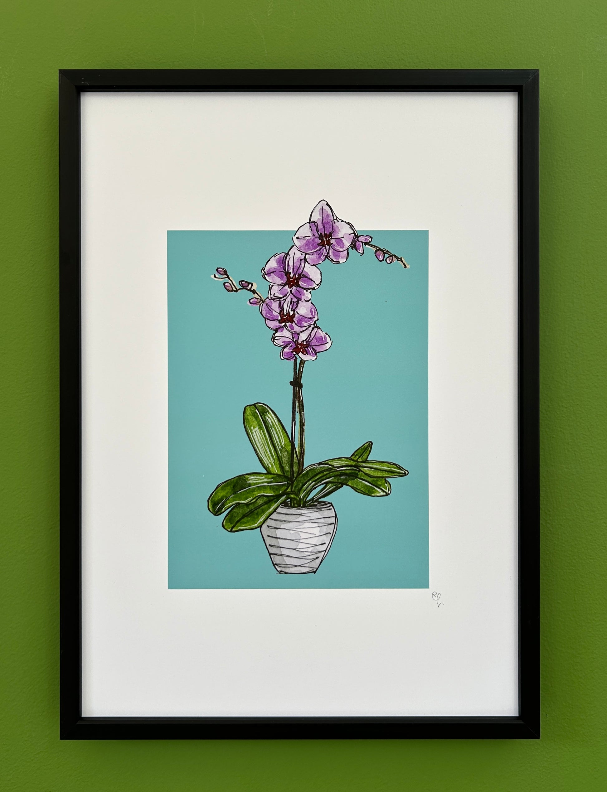 A4 print of an orchid with pink flowers, on a dusky turquoise background 