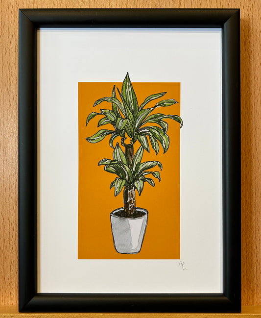 A5 print of a dracaena plant on an orange background 