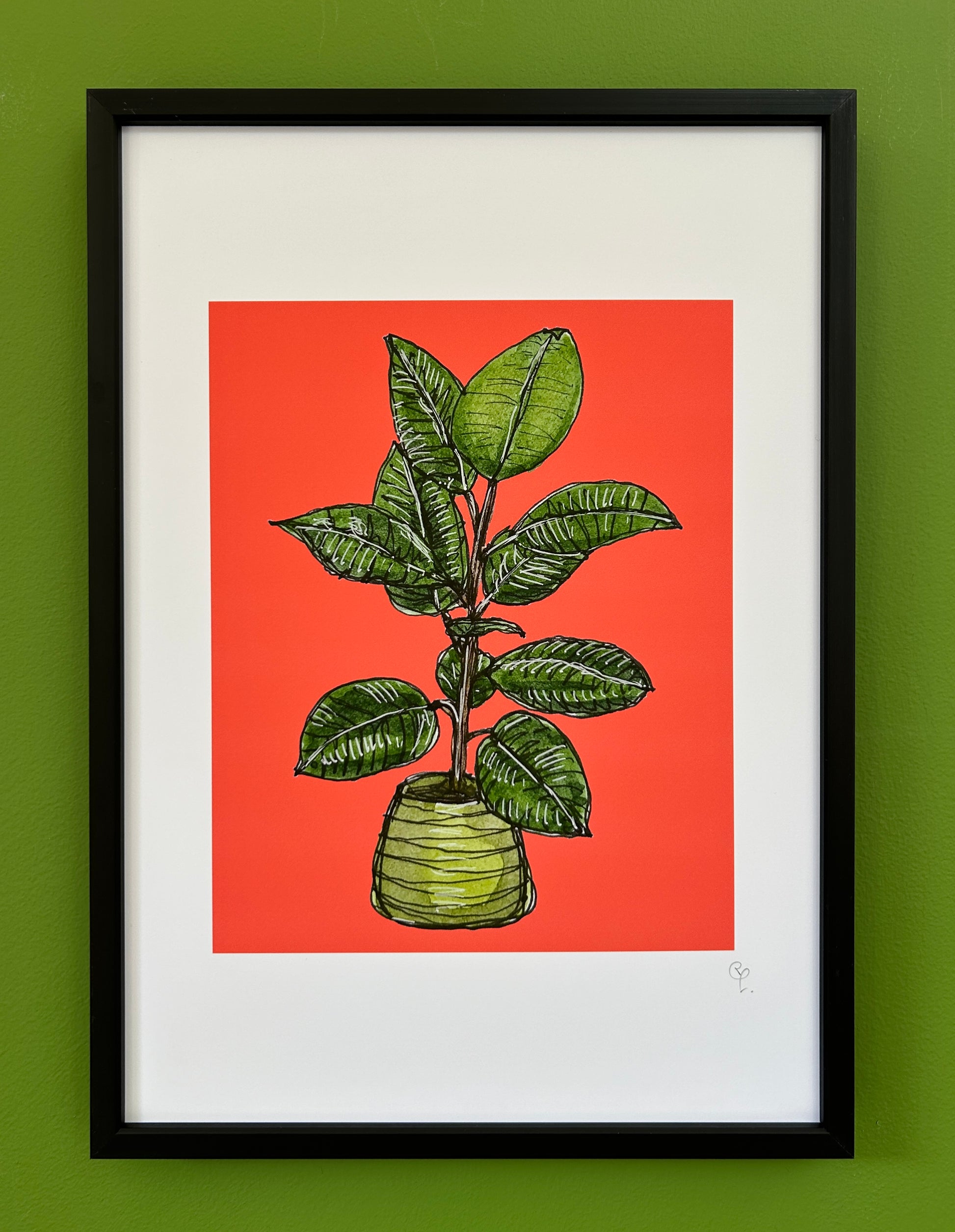 A4 print of a rubber plant, on a vibrant red background 