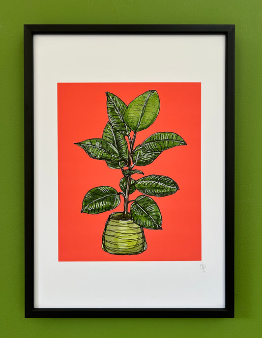 A4 print of a rubber plant, on a vibrant red background 