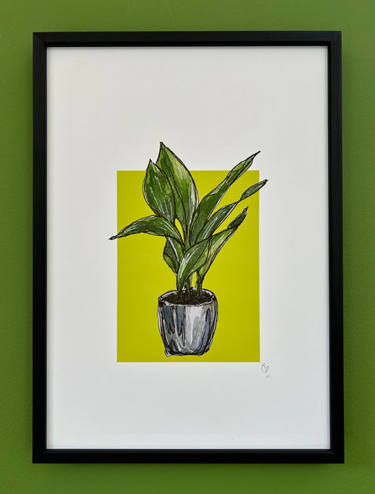 A4 print of an Aspidistra on a lime green background 