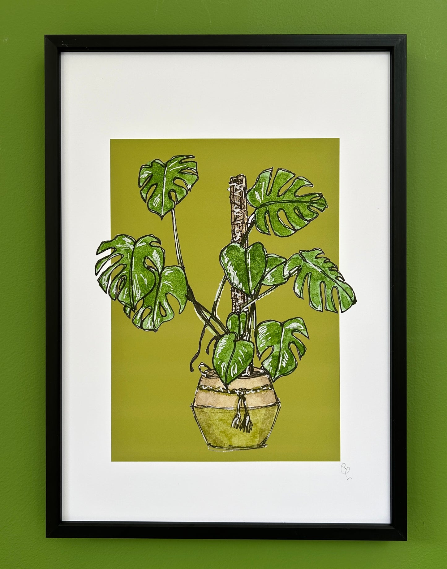 A4 print of a Monstera or Swiss Cheese plant on a bold green background 