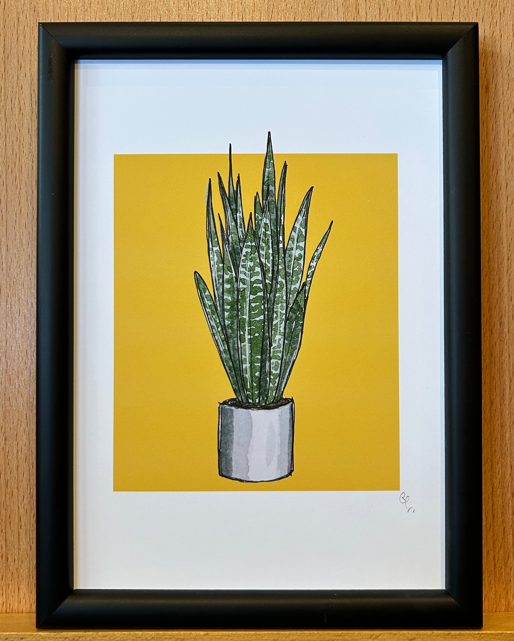 A5 print of a snake plant, on a deep yellow background 