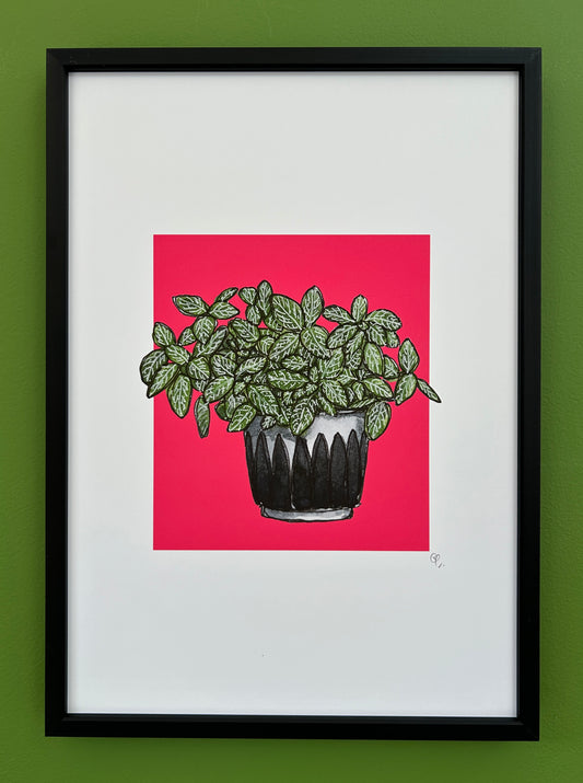 A4 print of a nerve plant on a vibrant pink background 