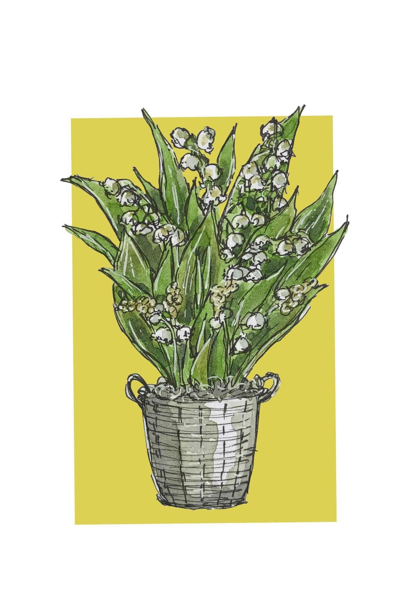 A4 print of a lily-of-the-valley plant on a lime green background 